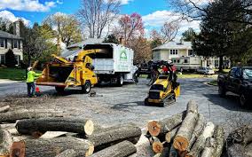 Best Utility Line Clearance  in Baxter Village, SC